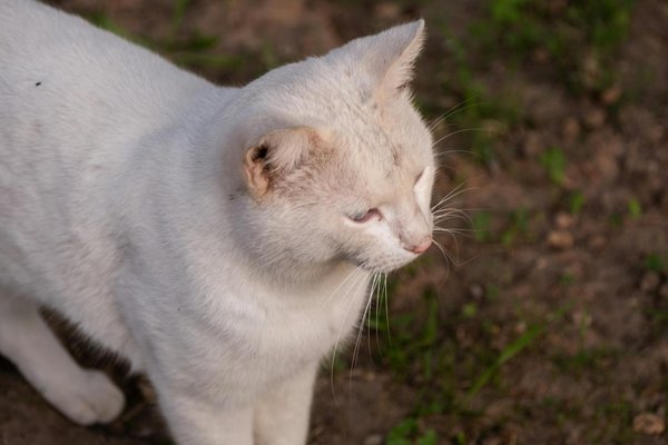 How Can Real Estate Technology Transform the Future of UK Finance?